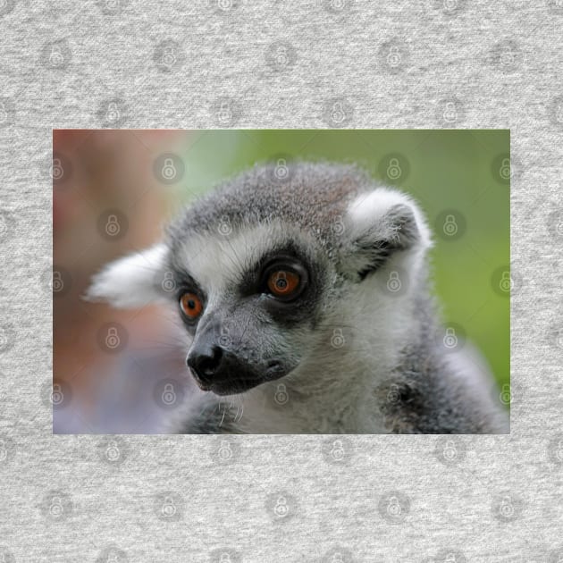 Ring-Tailed Lemur 2 by LeanneAllen